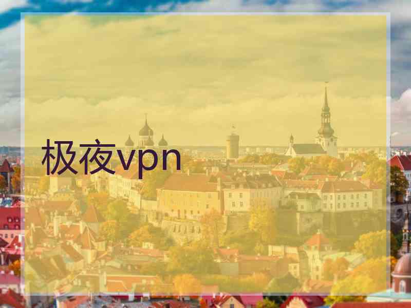 极夜vpn