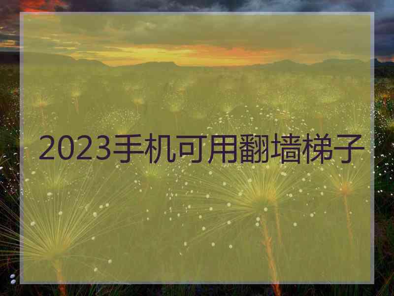 2023手机可用翻墙梯子