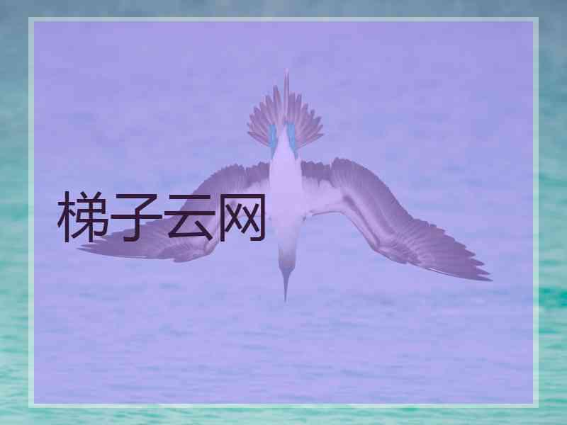梯子云网
