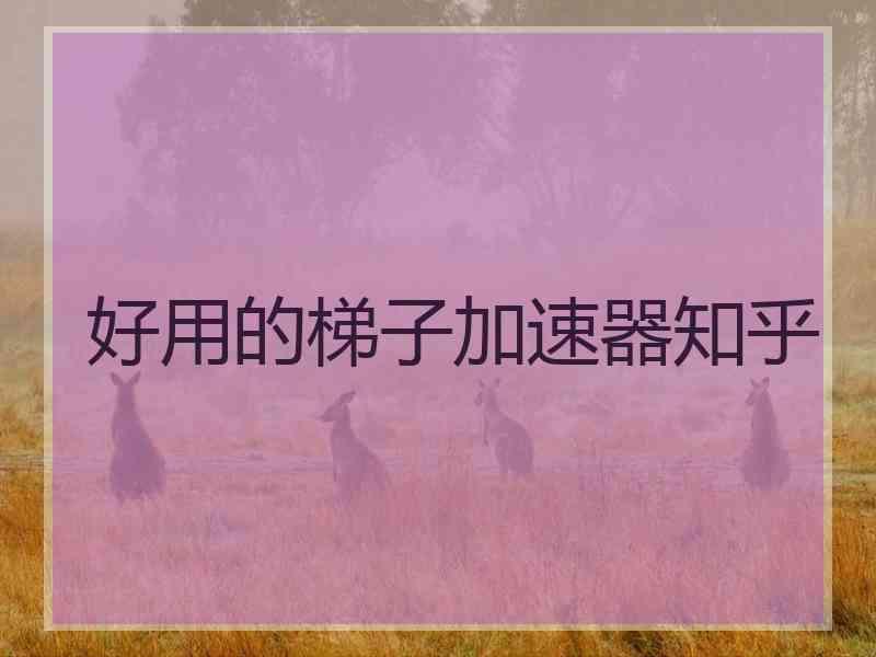 好用的梯子加速器知乎