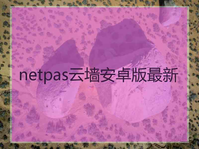 netpas云墙安卓版最新