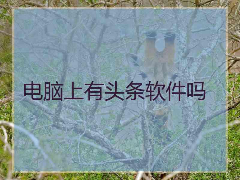 电脑上有头条软件吗