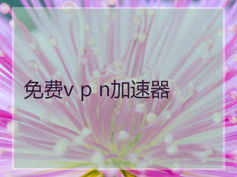 免费v p n加速器