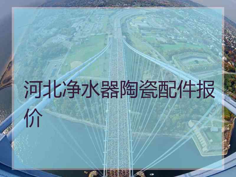河北净水器陶瓷配件报价