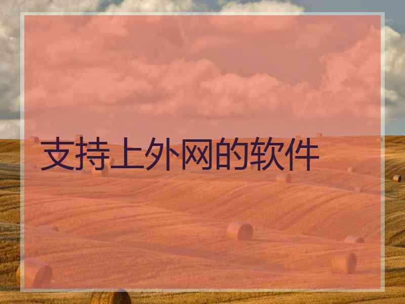 支持上外网的软件