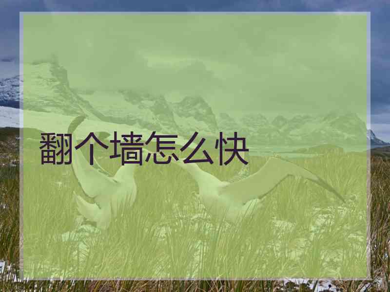 翻个墙怎么快