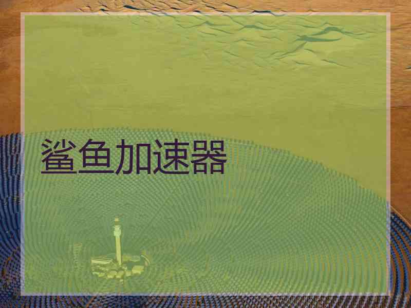 鲨鱼加速器