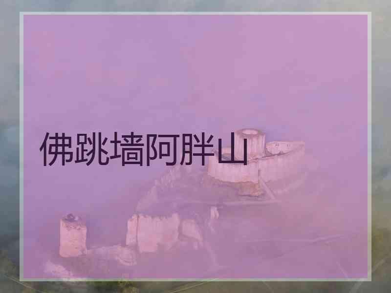 佛跳墙阿胖山