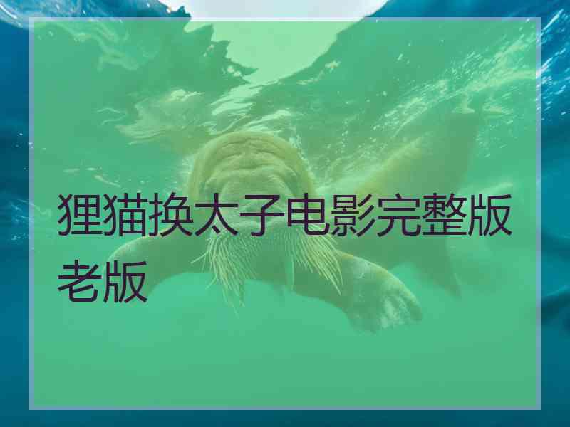 狸猫换太子电影完整版老版