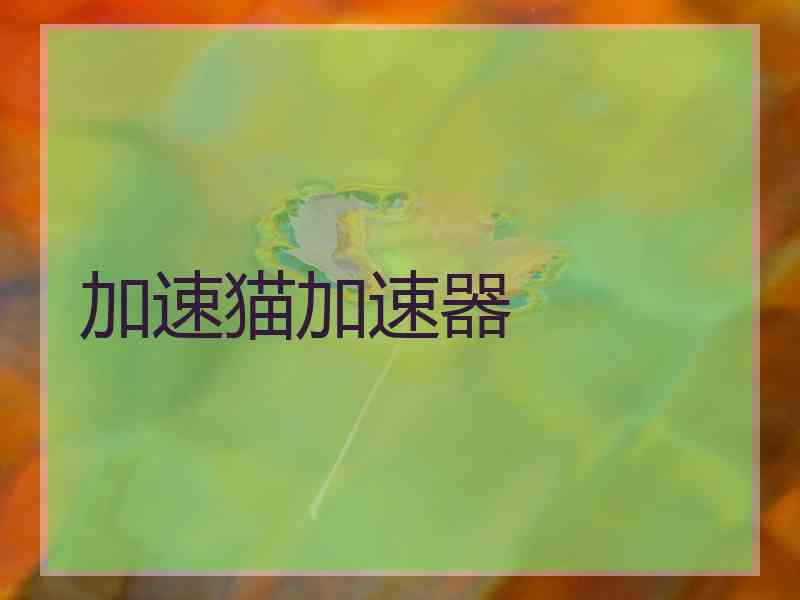 加速猫加速器