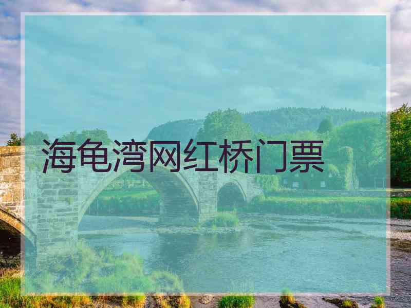 海龟湾网红桥门票