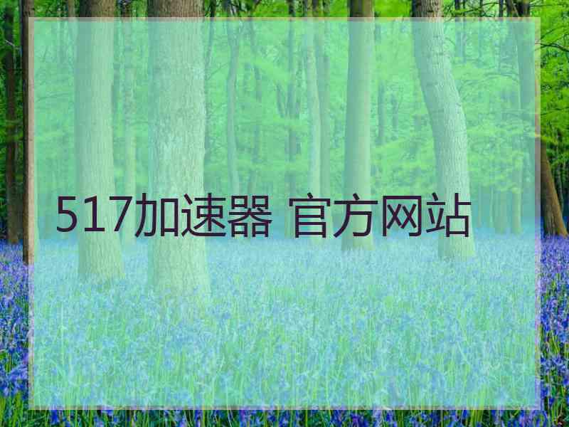 517加速器 官方网站