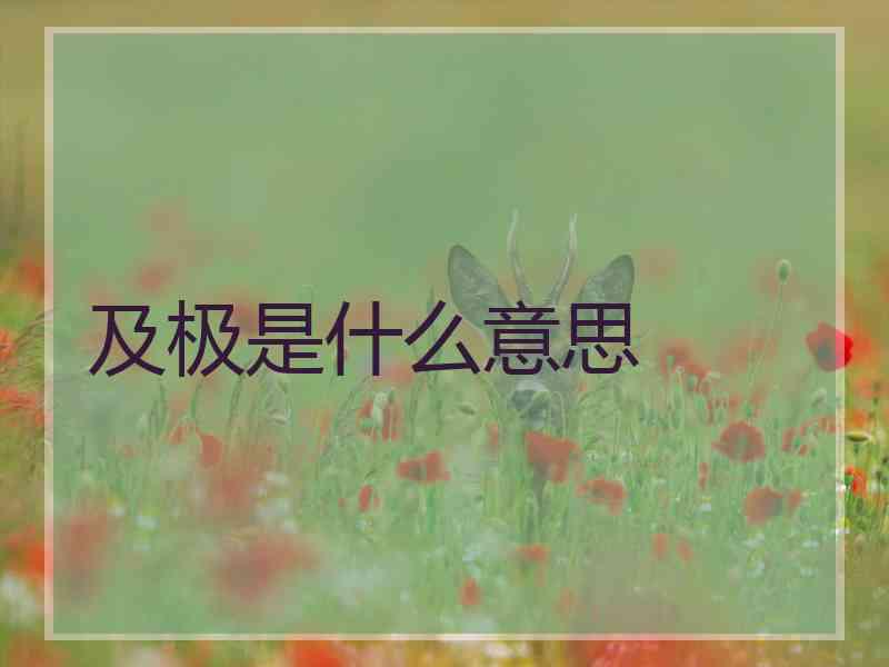 及极是什么意思