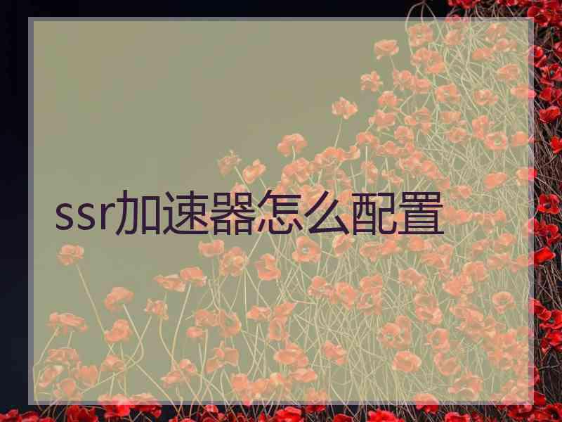 ssr加速器怎么配置