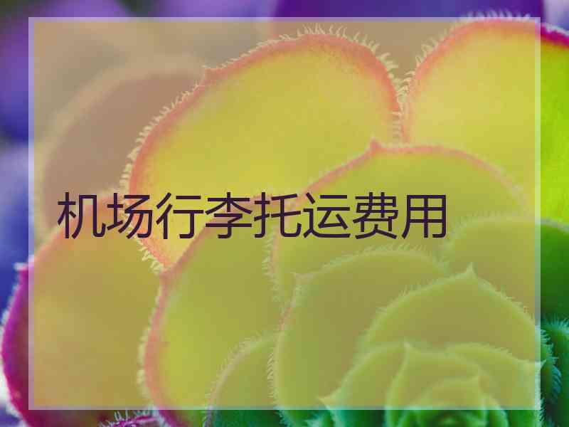 机场行李托运费用