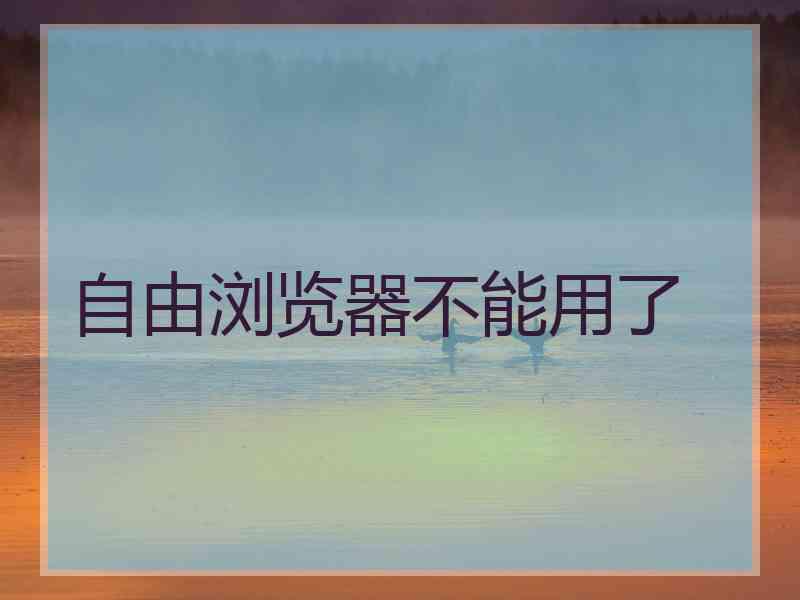 自由浏览器不能用了