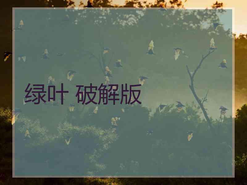绿叶 破解版