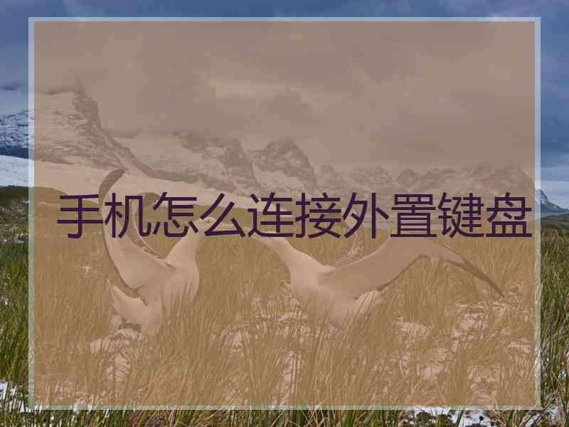 手机怎么连接外置键盘