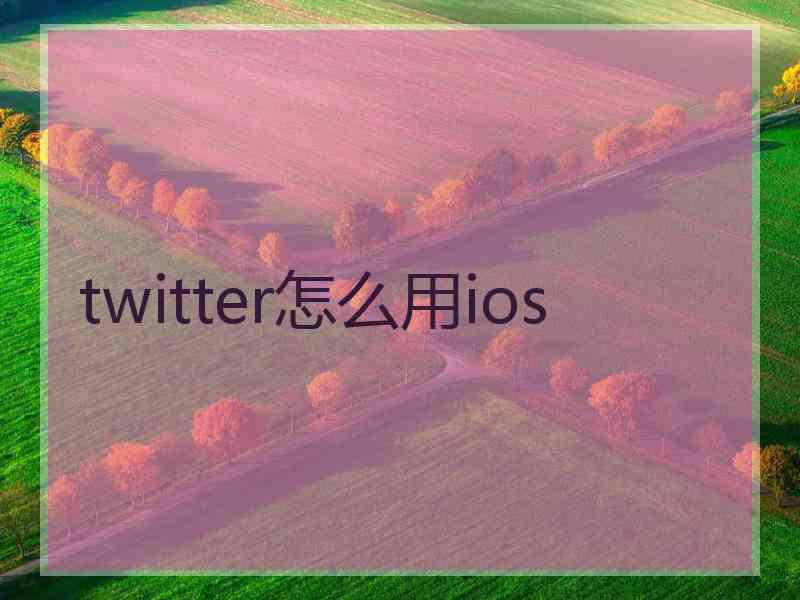 twitter怎么用ios