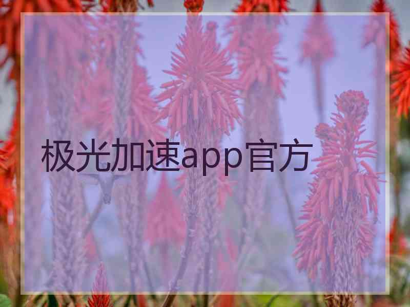 极光加速app官方