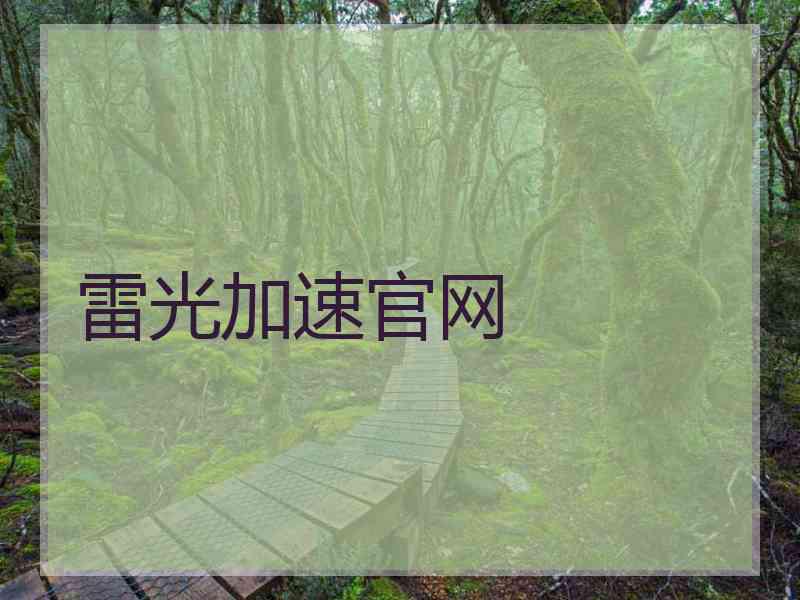 雷光加速官网