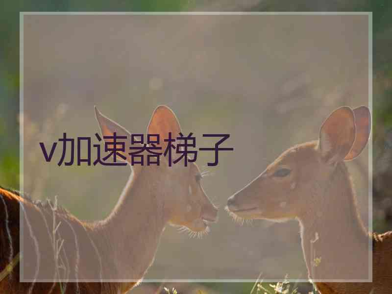 v加速器梯子