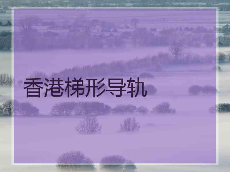 香港梯形导轨