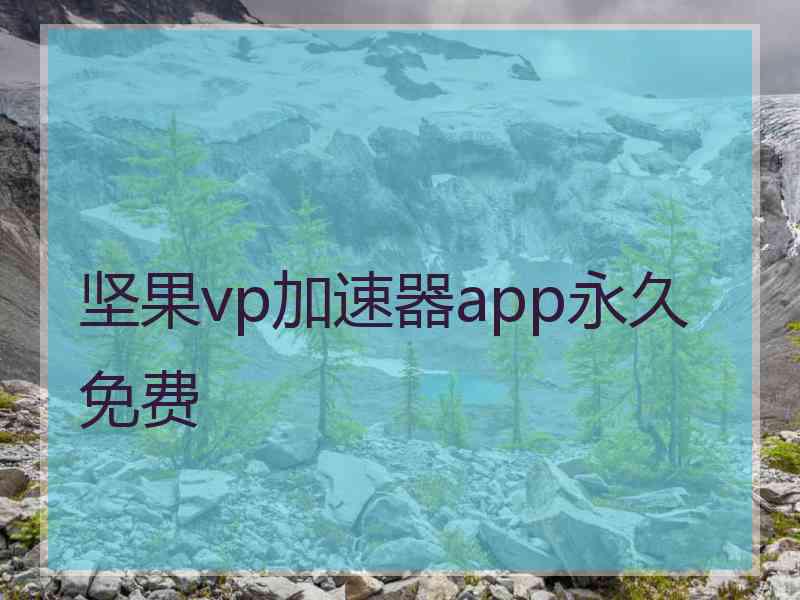 坚果vp加速器app永久免费