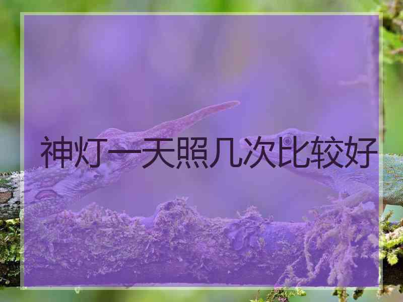 神灯一天照几次比较好