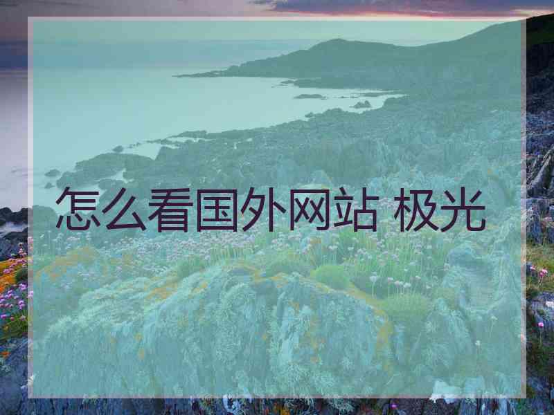 怎么看国外网站 极光
