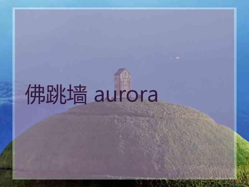 佛跳墙 aurora