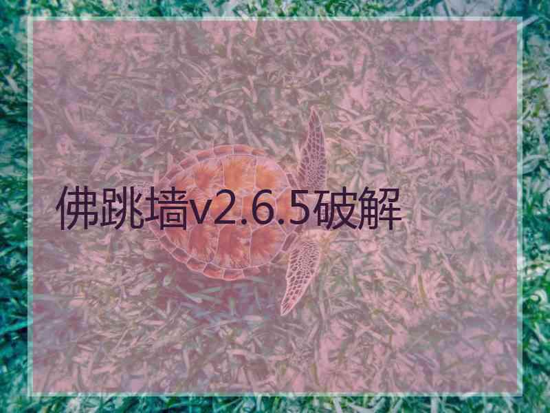 佛跳墙v2.6.5破解