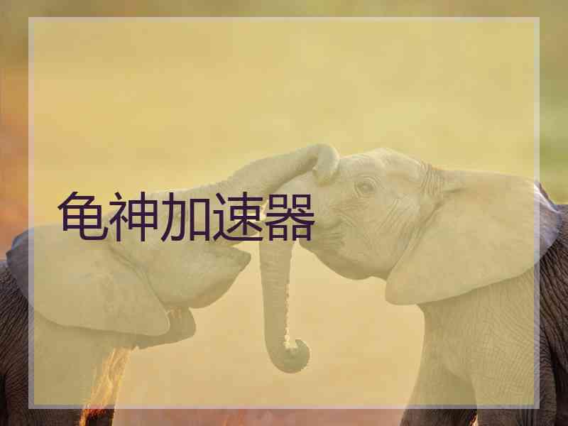 龟神加速器