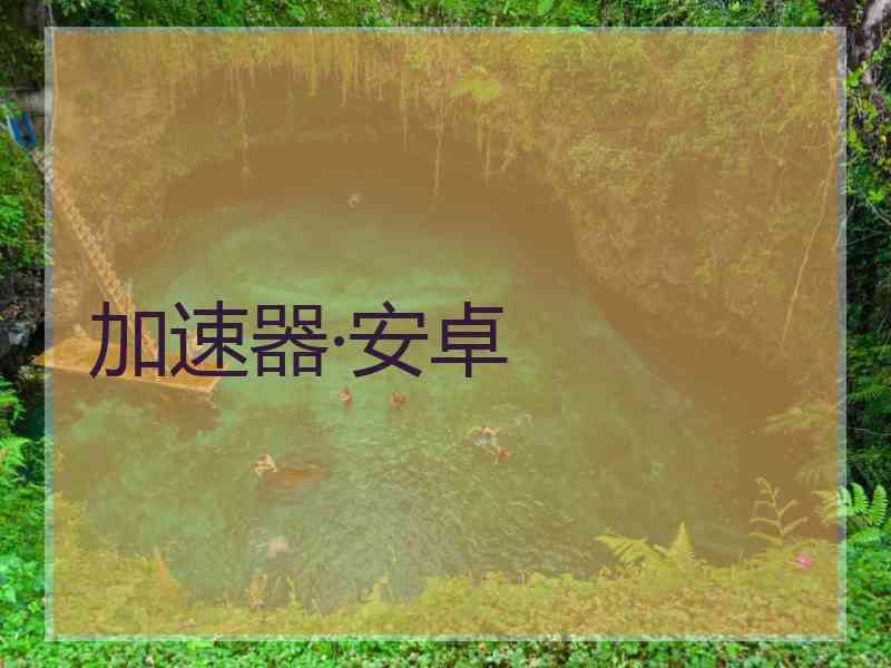 加速器·安卓