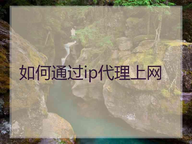 如何通过ip代理上网