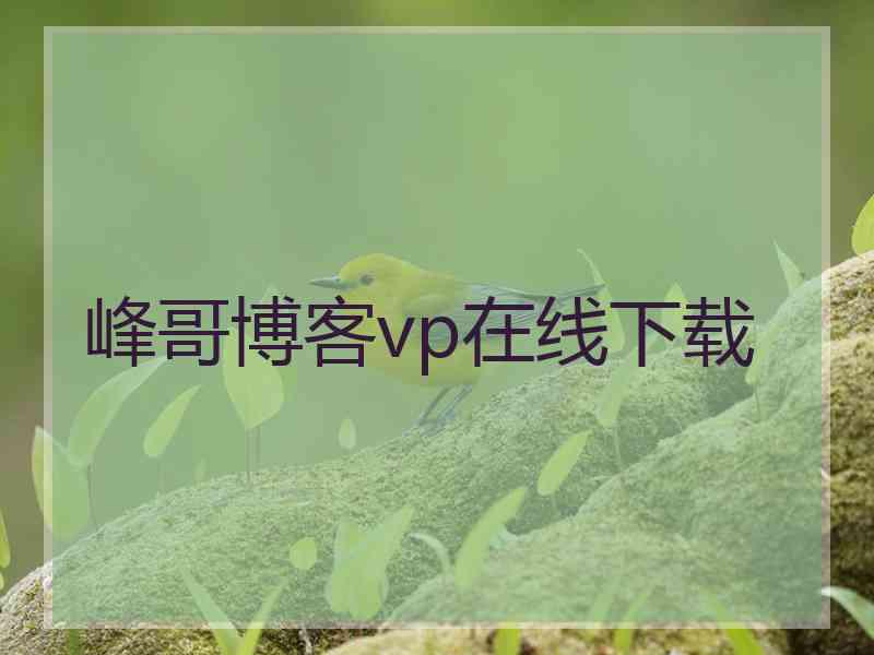 峰哥博客vp在线下载