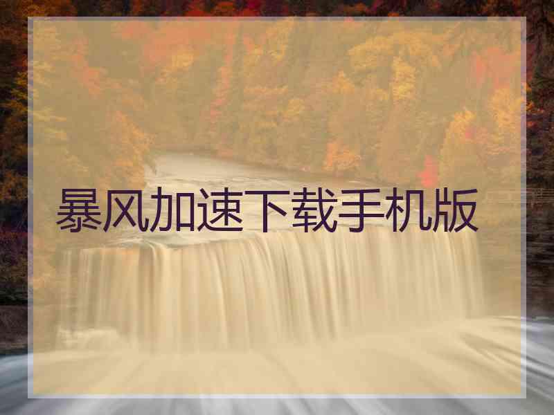 暴风加速下载手机版