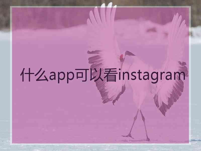 什么app可以看instagram