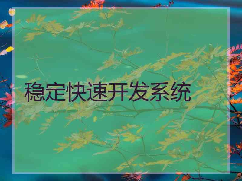 稳定快速开发系统