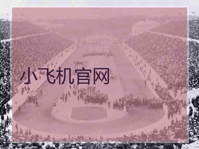 小飞机官网