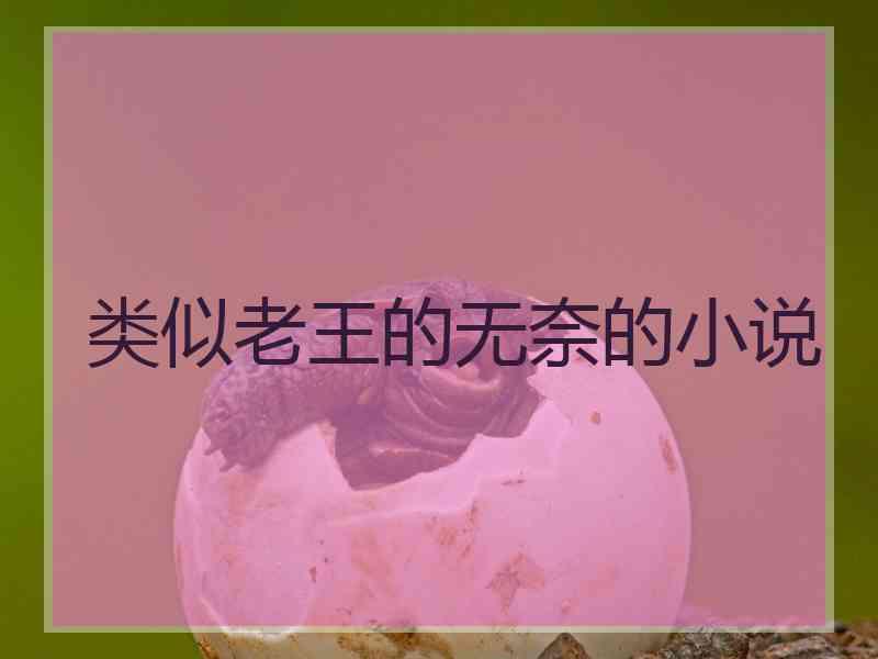 类似老王的无奈的小说