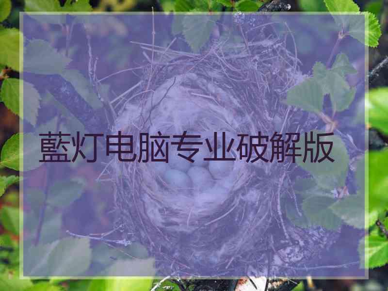 藍灯电脑专业破解版