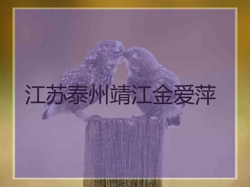 江苏泰州靖江金爱萍