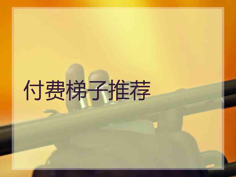 付费梯子推荐