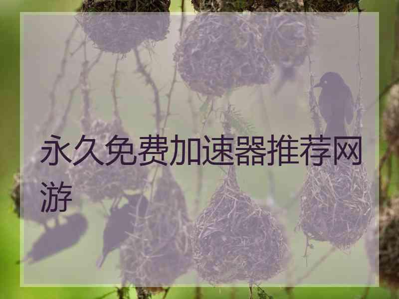 永久免费加速器推荐网游