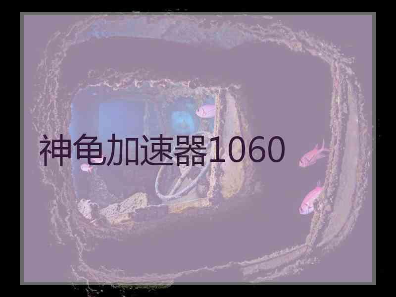 神龟加速器1060