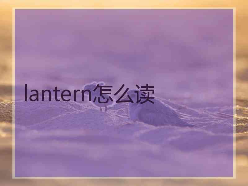 lantern怎么读