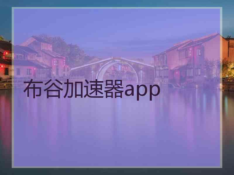 布谷加速器app