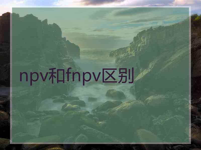 npv和fnpv区别