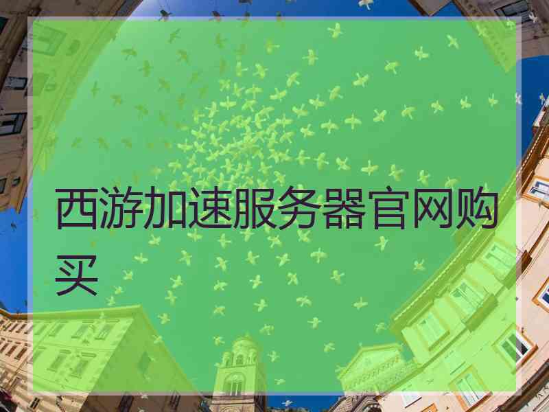 西游加速服务器官网购买